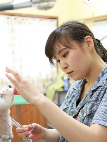 CocoAエステカーサ横須賀久里浜店店長　岩谷美空